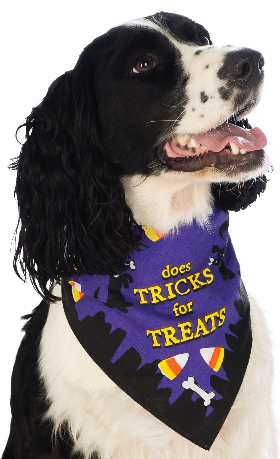 886850sm-rubies-does-tricks-for-treats-dog-bandana-costume-size-s-m