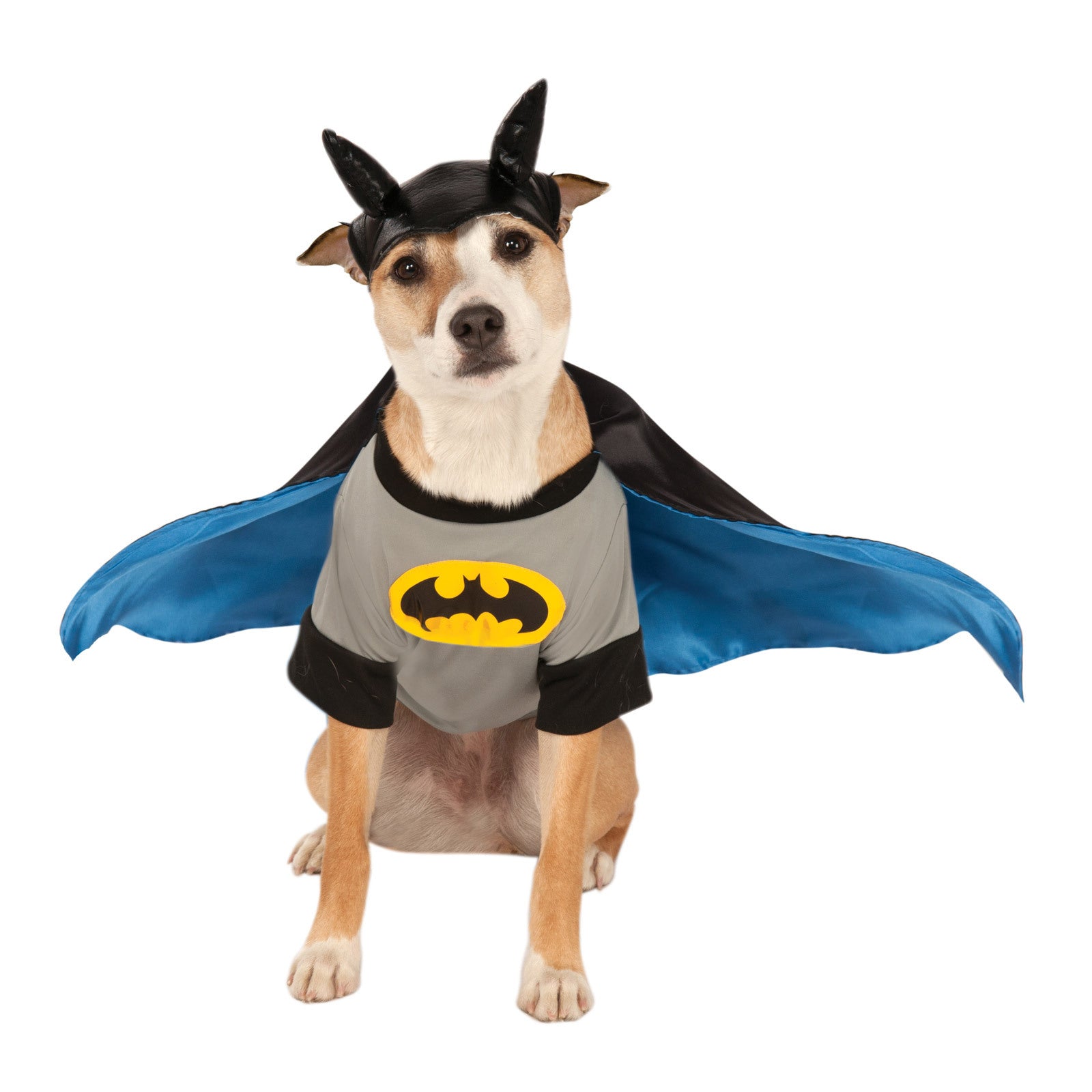 887835m-dc-comics-batman-deluxe-pet-dress-up-costume-size-m-for-dogs