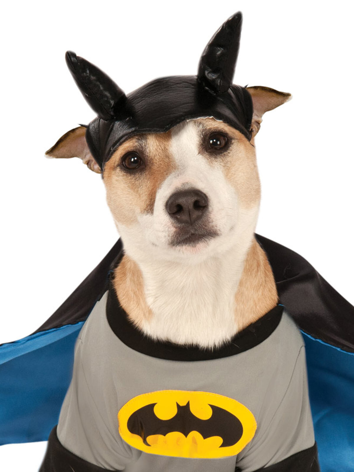 887835s-dc-comics-batman-deluxe-pet-dress-up-costume-size-s-for-dogs