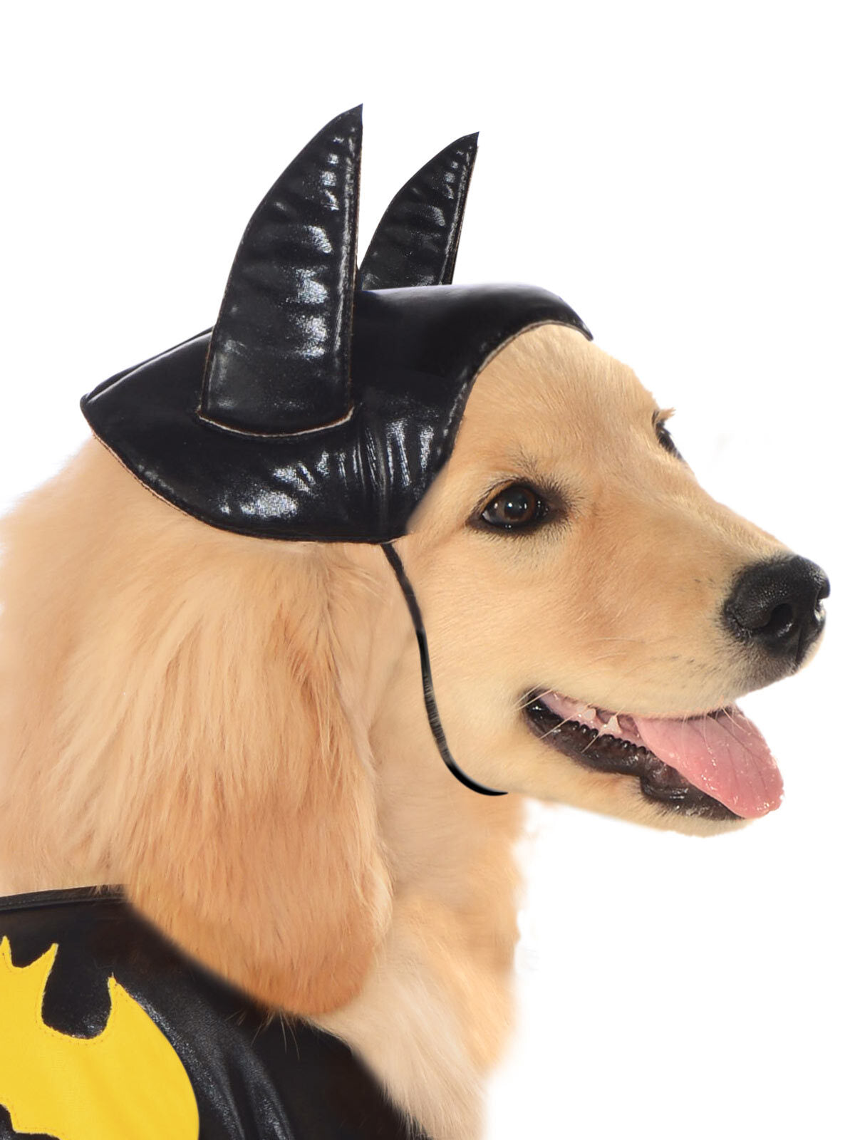 887837l-dc-comics-batgirl-pet-dress-up-costume-size-l-for-dogs