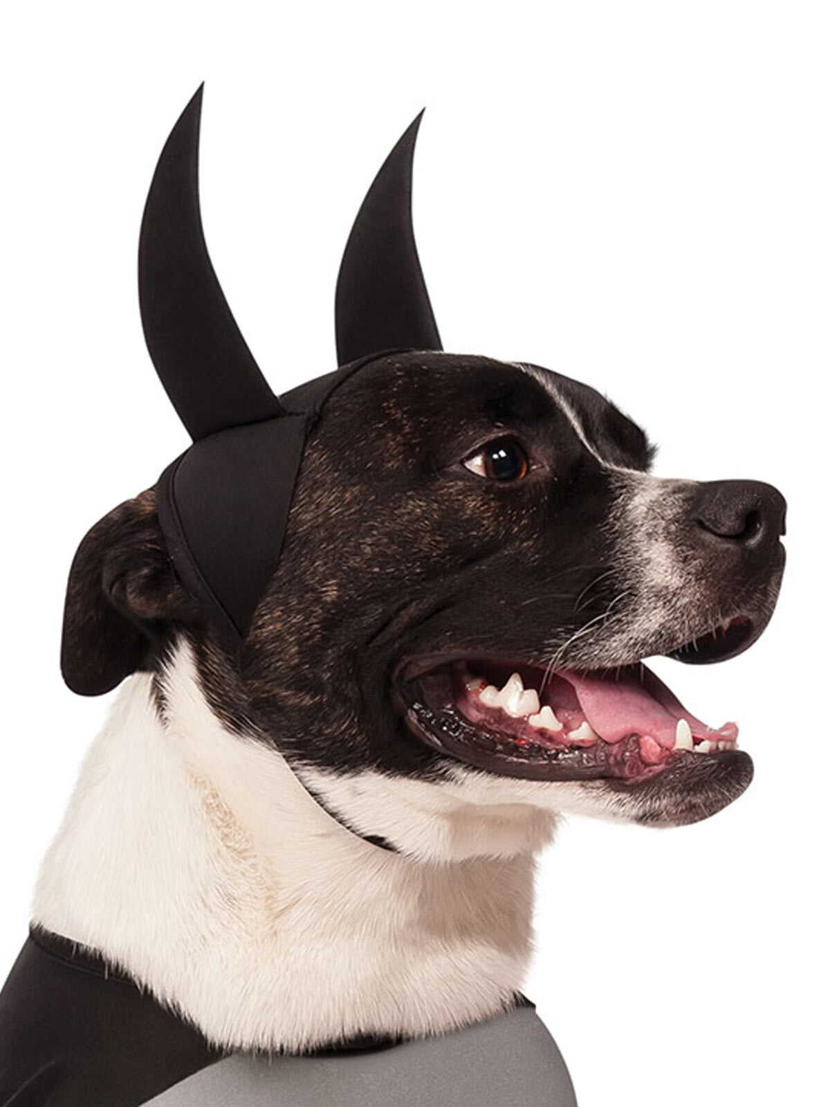 887891l-dc-comics-batman-classic-pet-dress-up-costume-size-l-for-dogs
