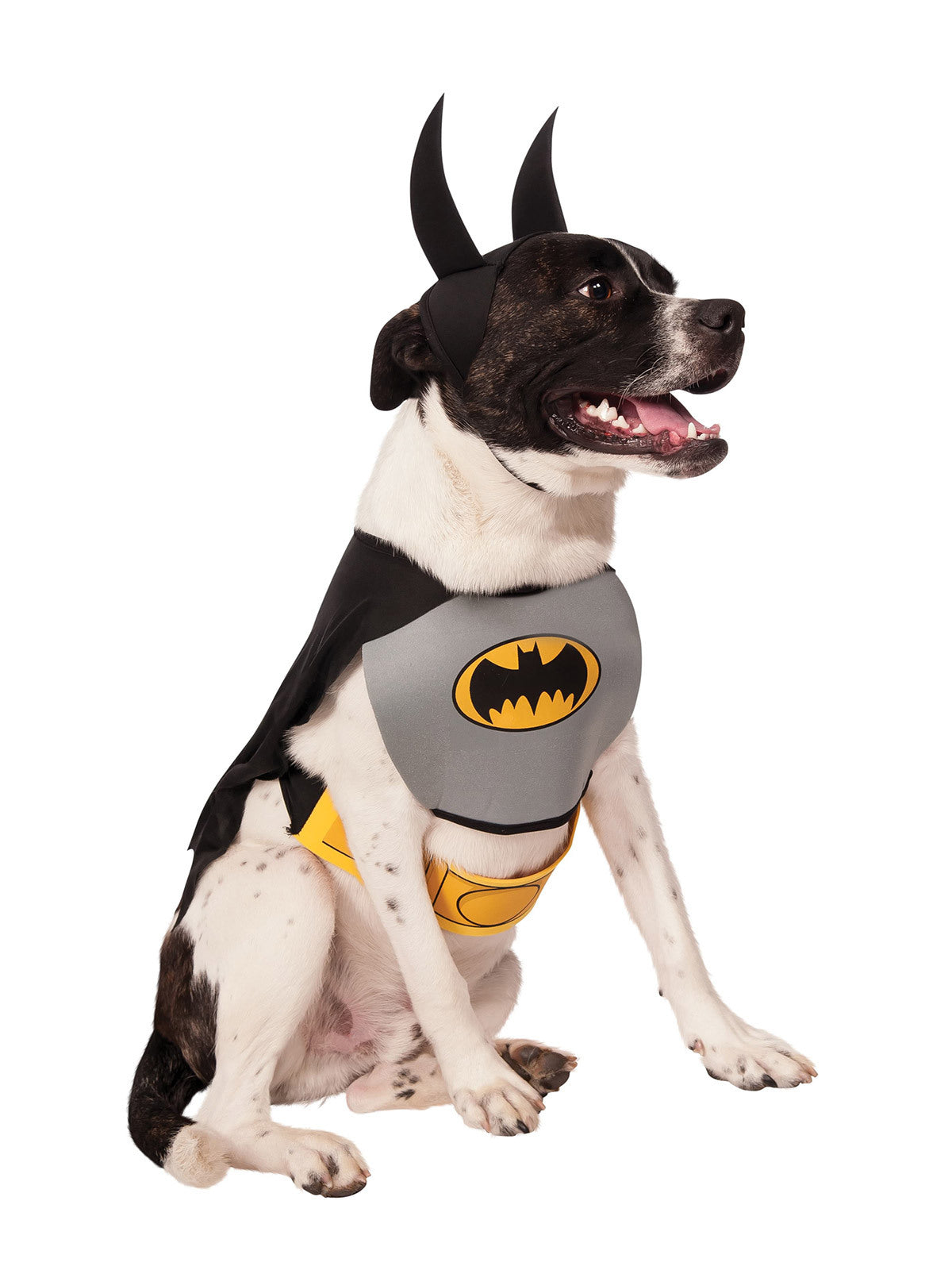 887891m-dc-comics-batman-classic-pet-dress-up-costume-size-m-for-dogs