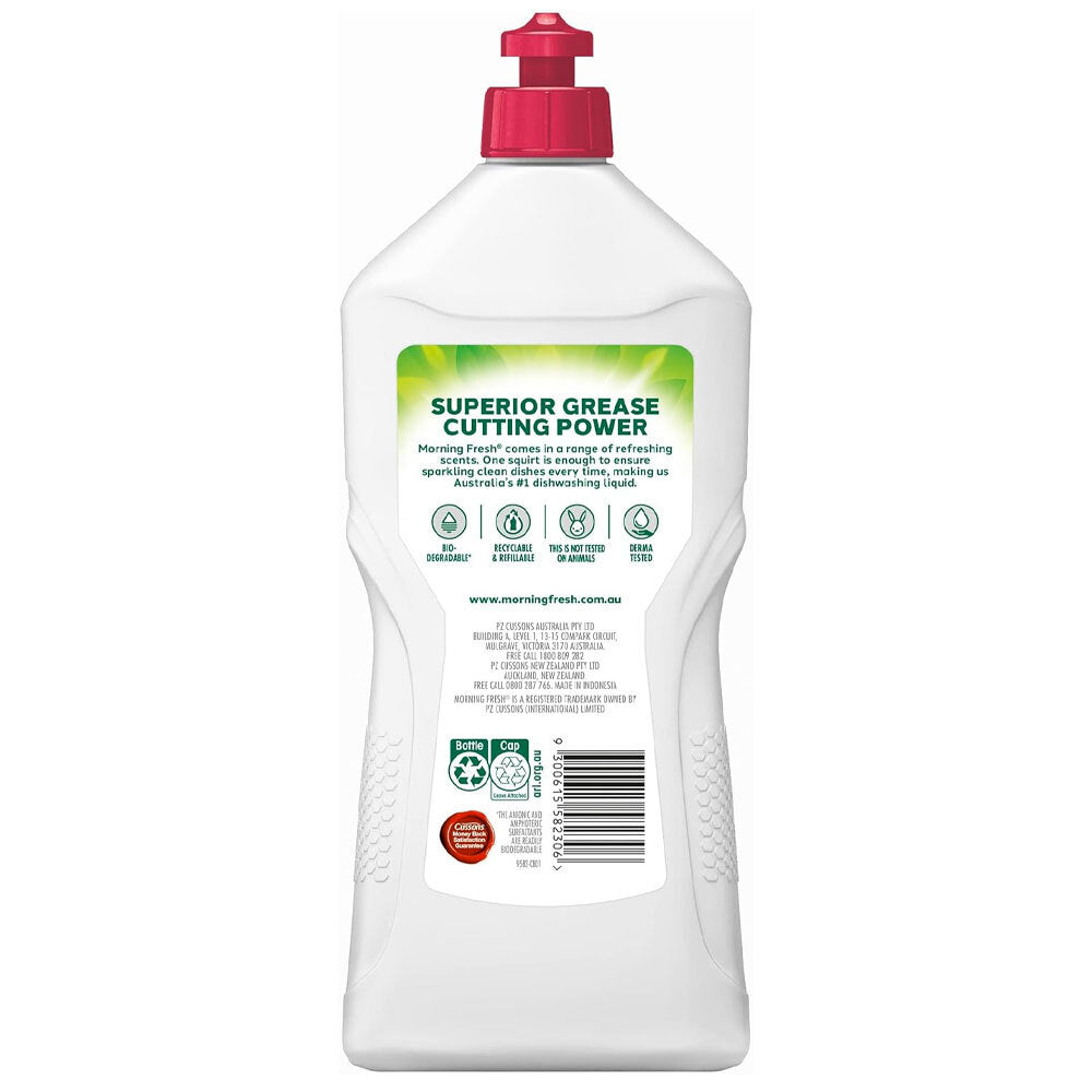 101449-morning-fresh-dishwashing-liquid-raspberry-crisp-apple-900ml