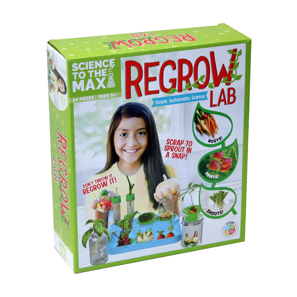 813268017051-24pc-be-amazing-toys-science-to-the-max-regrow-lab-plant-tray-set-kids-8