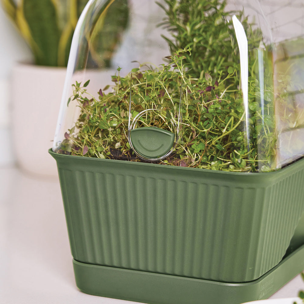 10160530-backyard-farmer-lula-mini-backyard-plant-propagation-greenhouse-green
