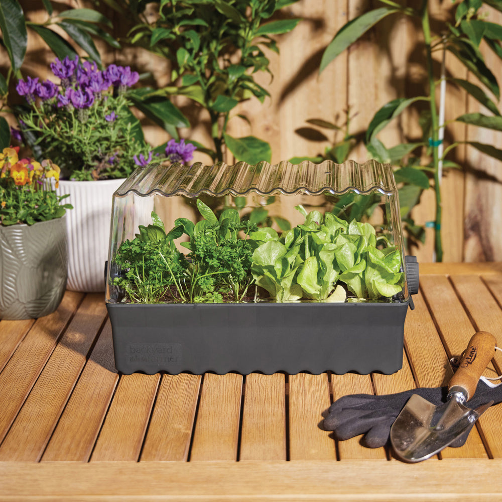 10160431-backyard-farmer-flori-backyard-seed-propagation-kit-grey