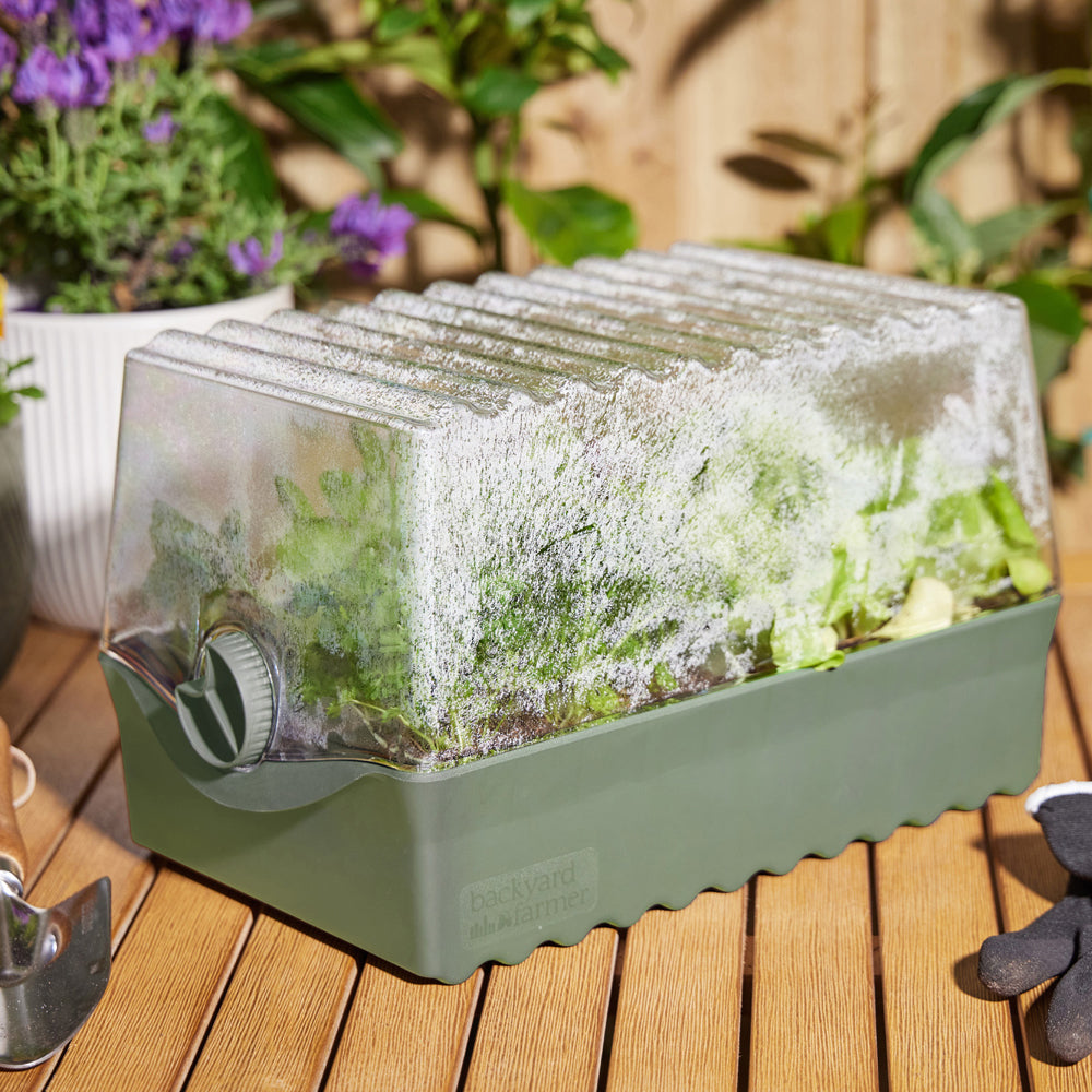 10160516-backyard-farmer-flori-backyard-seed-propagation-kit-green