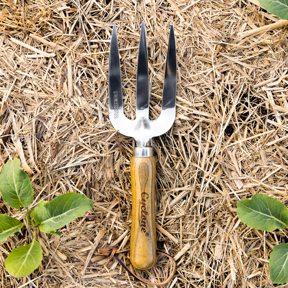 630019-cyclone-hand-fork-stainless-steel-home-garden-maintenance-care