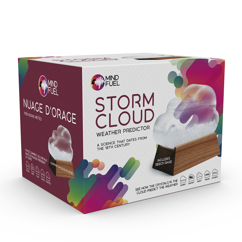 10627-funtime-16cm-storm-cloud-weather-predictor-science-toy