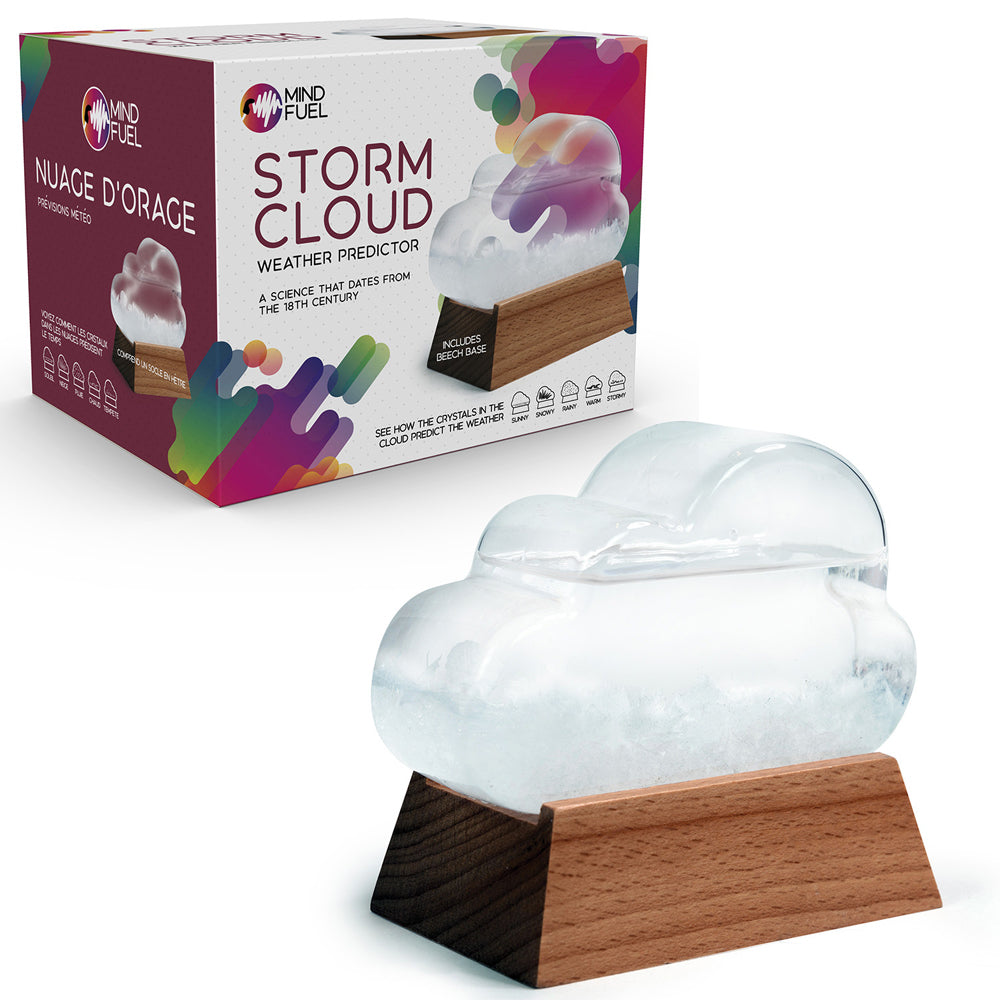 10627-funtime-16cm-storm-cloud-weather-predictor-science-toy