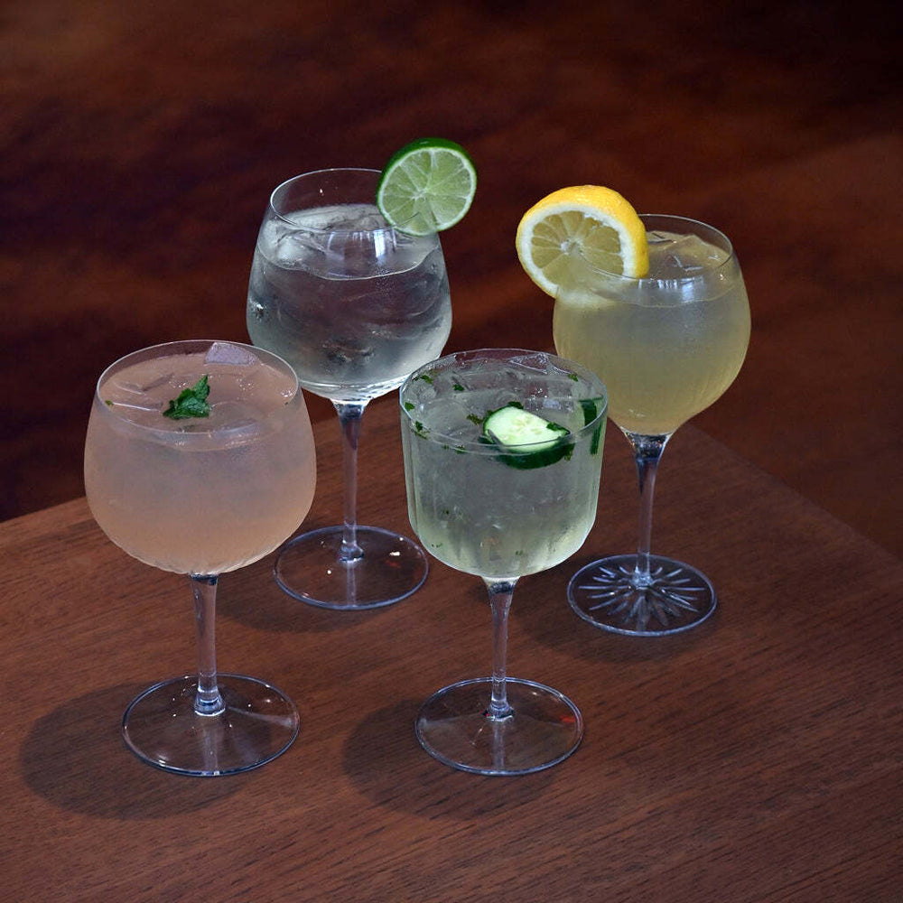 6513245-4pc-luigi-bormioli-mixed-gin-glasses-drinking-stemware-set