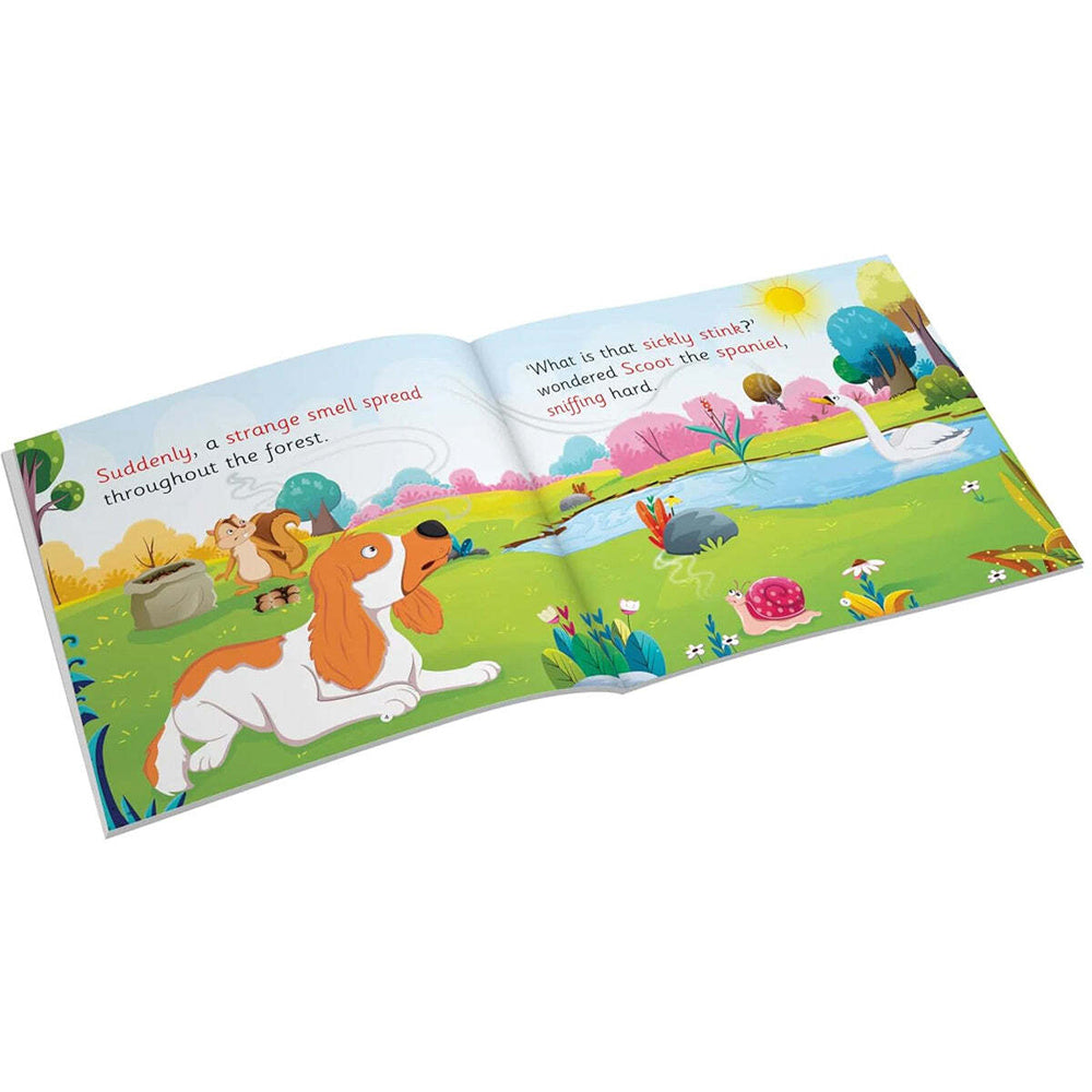 12pc Woodpecker Phonics Readers My First Phonics Reader Collection Set 3-6Y+