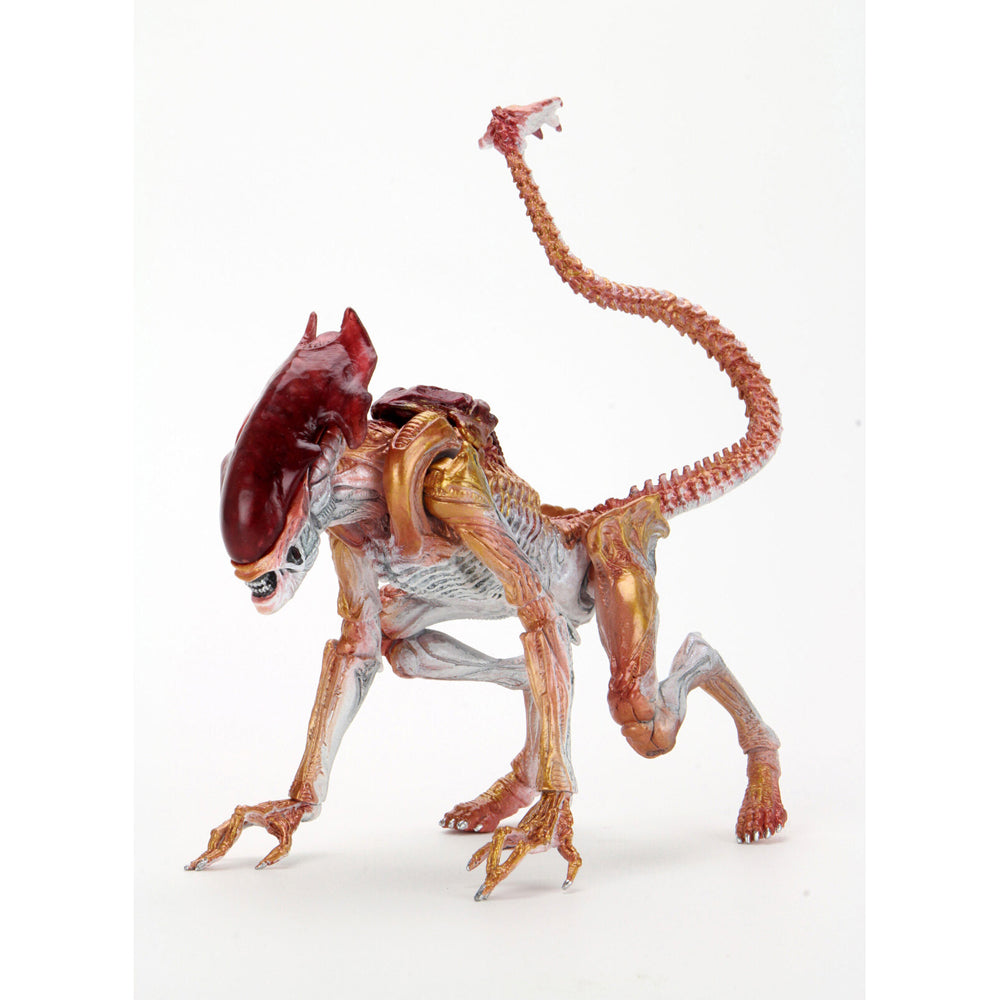 51715-neca-aliens-panther-alien-kenner-tribute-7-scale-action-figure-toy-17