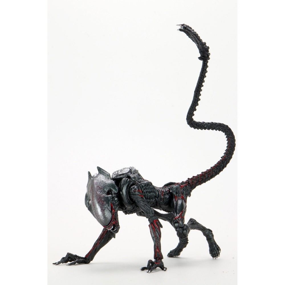 51716-neca-aliens-night-cougar-kenner-tribute-7-scale-action-figure-toy-17