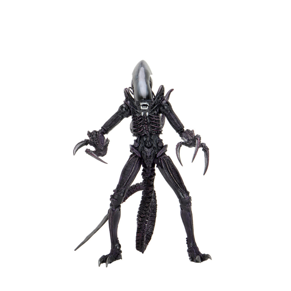 51718-neca-alien-vs-predator-razor-claws-7-scale-action-figure-toy-17