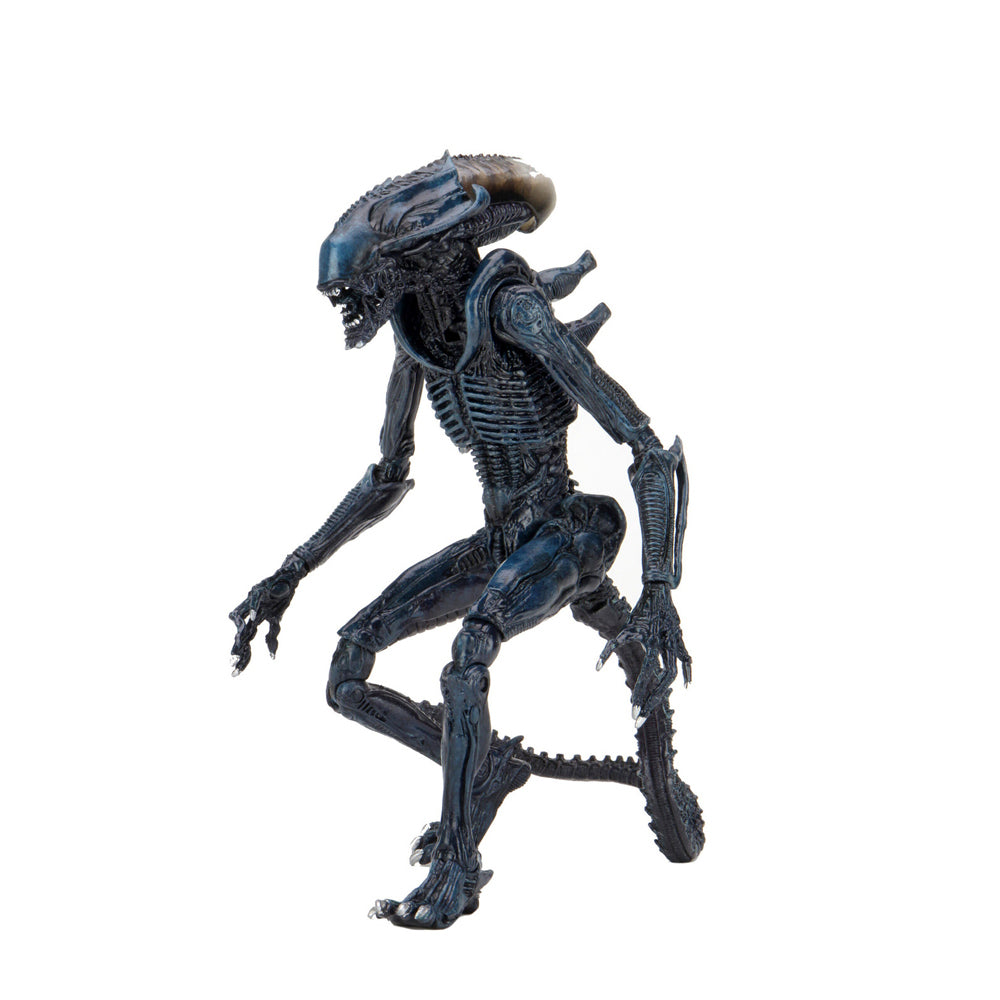 51720-neca-aliens-arachnoid-alien-vs-predator-7-scale-action-figure-toy-17