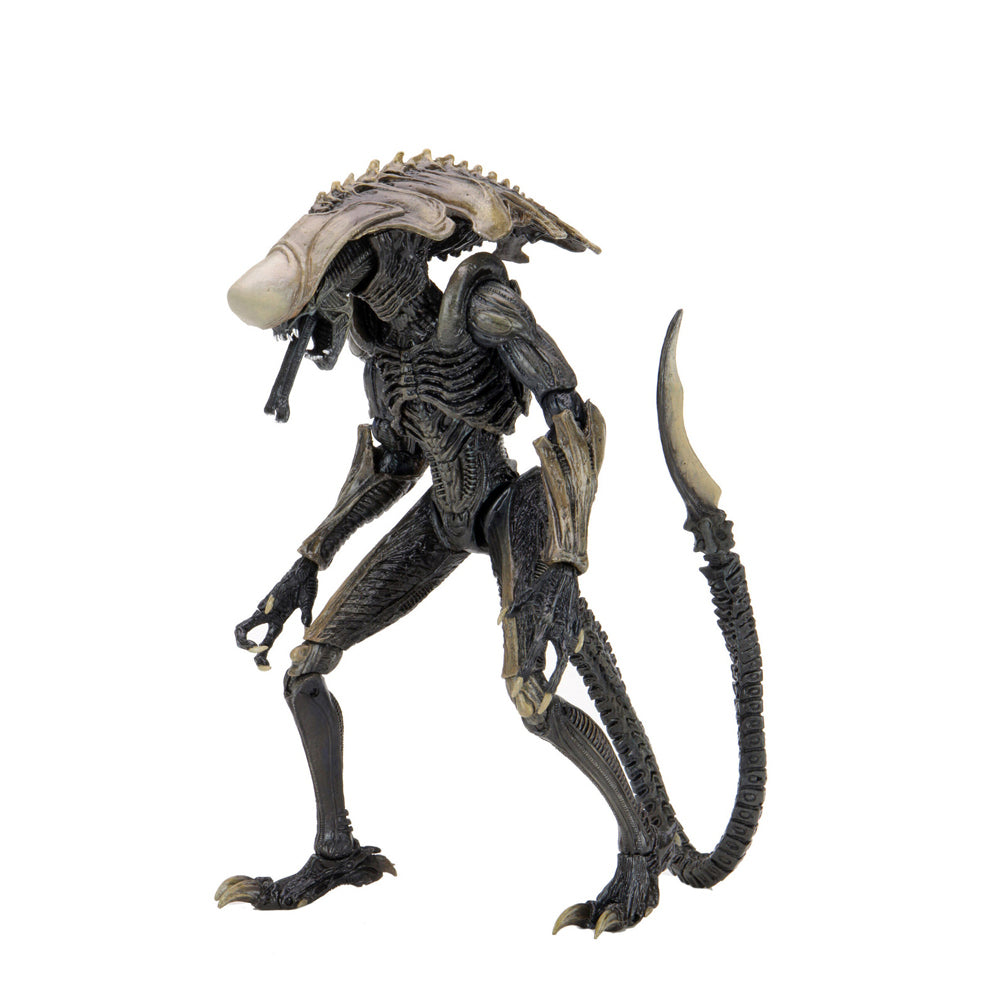 51719-neca-alien-vs-predator-chrysalis-alien-7-scale-action-figure-toy-17