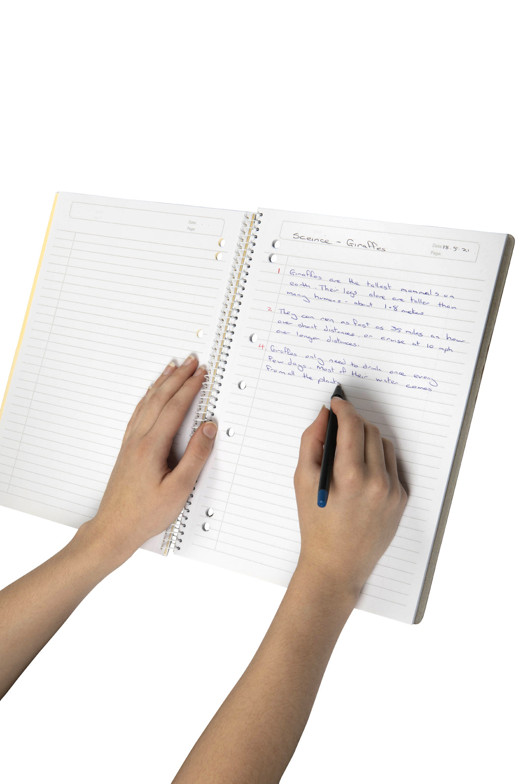 1719502j-colourhide-lecture-book-w-ruler-a4-140-pages-black