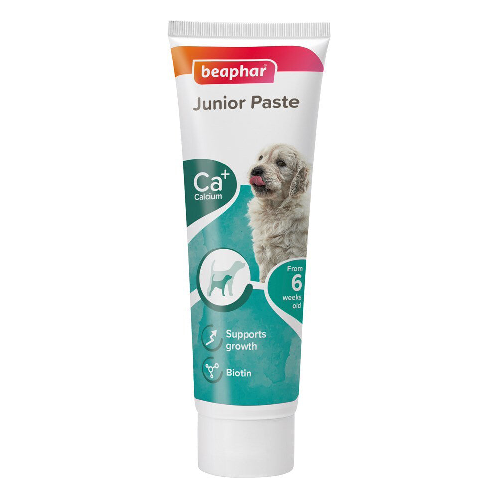 12967-beaphar-duo-active-paste-multi-vitamin-probiotic-formula-junior-dog-100g