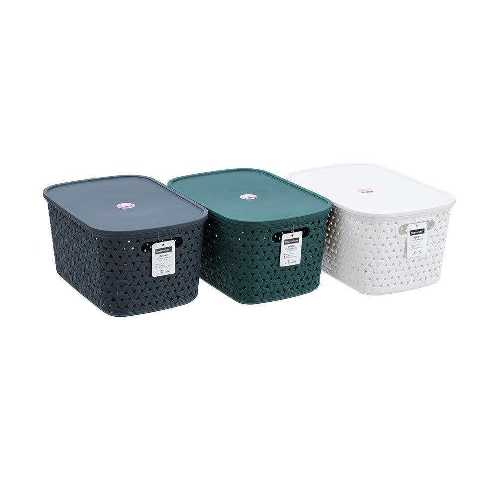 39578-boxsweden-woven-rattan-7l-30cm-lidded-basket-storage-assorted