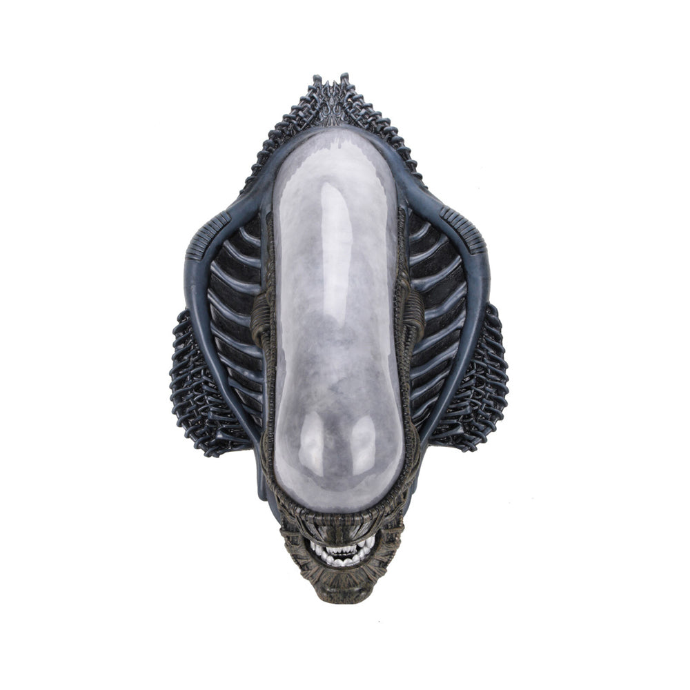 51691-neca-79cm-aliens-xenomorph-bust-foam-replica-wall-mounted-decor-14