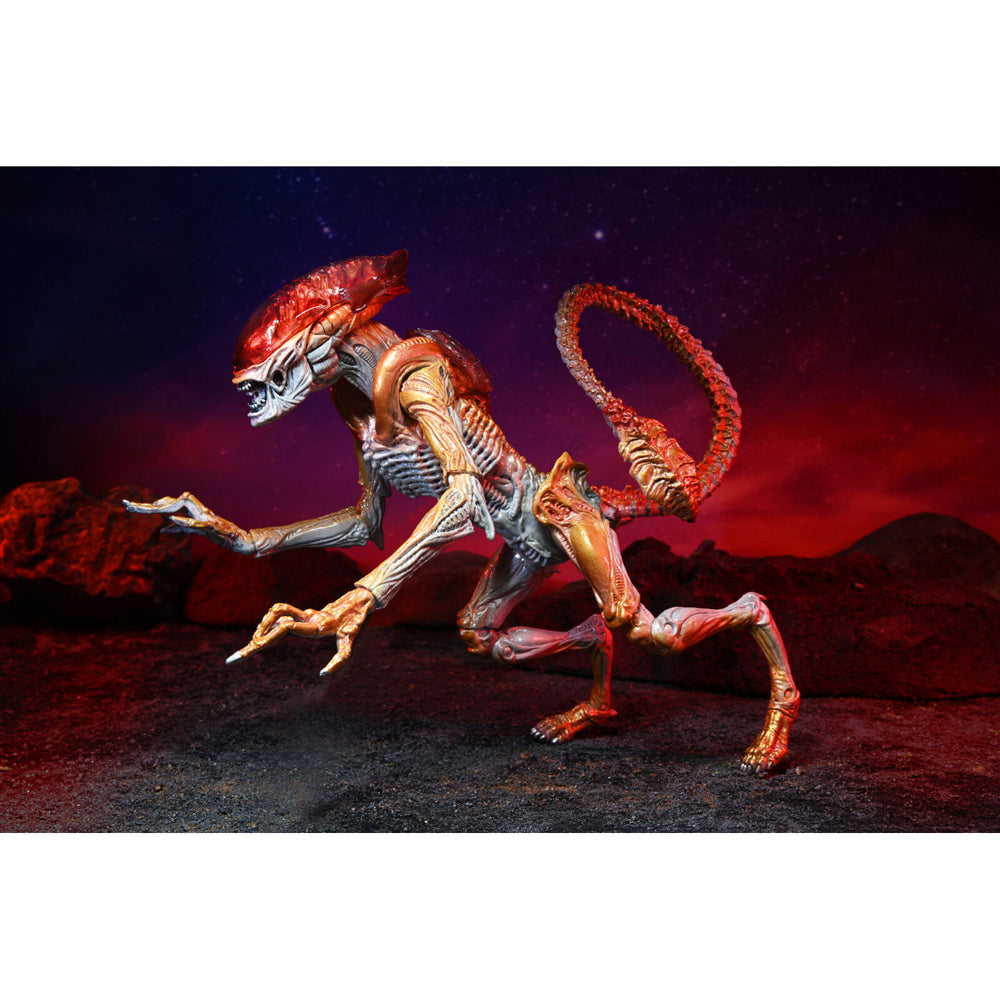 51715-neca-aliens-panther-alien-kenner-tribute-7-scale-action-figure-toy-17