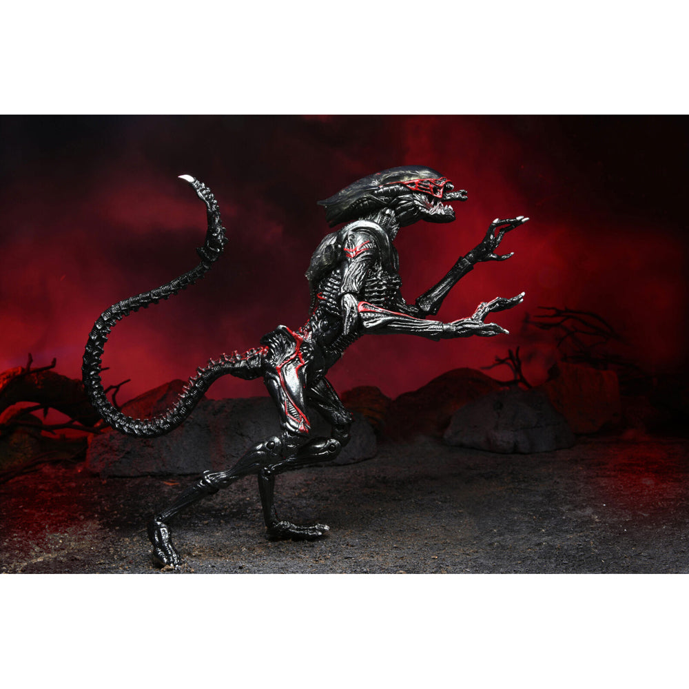51716-neca-aliens-night-cougar-kenner-tribute-7-scale-action-figure-toy-17