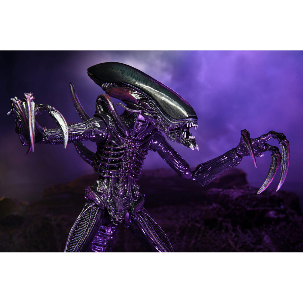 51718-neca-alien-vs-predator-razor-claws-7-scale-action-figure-toy-17