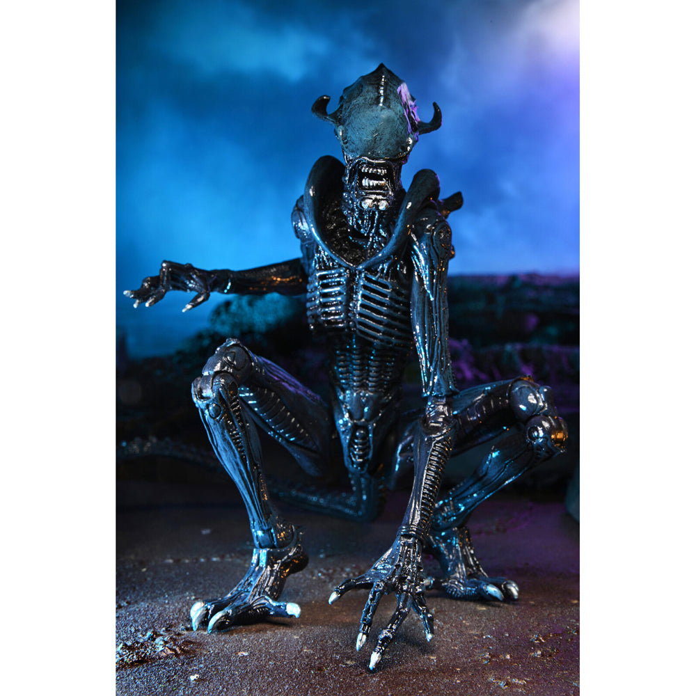 51720-neca-aliens-arachnoid-alien-vs-predator-7-scale-action-figure-toy-17