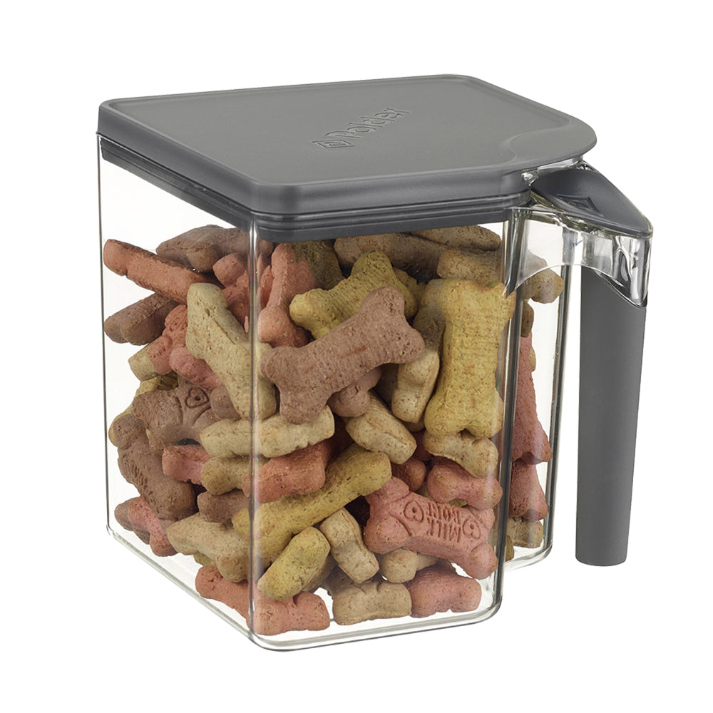 4586-1-polder-handle-it-2-65l-16cm-storage-canister-clear-grey