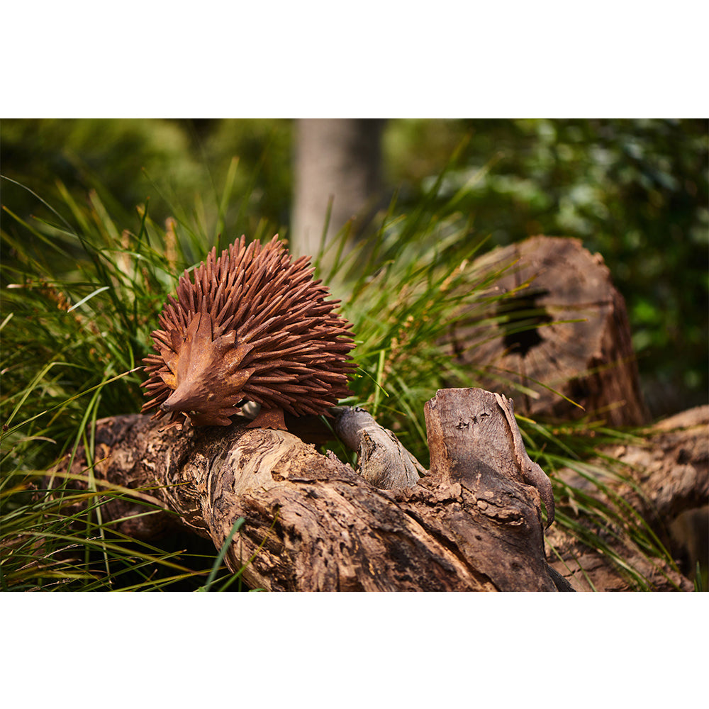 23872-echidna-rust-43cm-animal-ornament-garden-decor-large