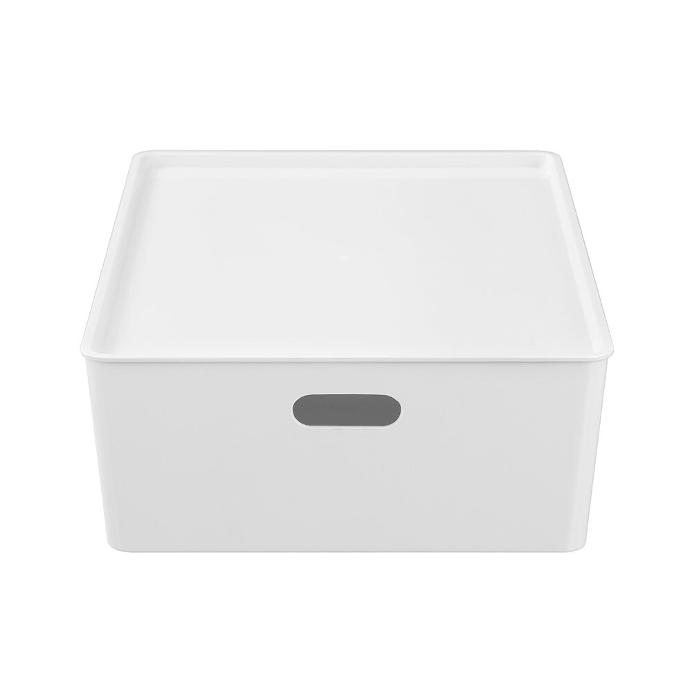 42219-boxsweden-smooth-tidy-box-w-lid-24l-54cm-assorted