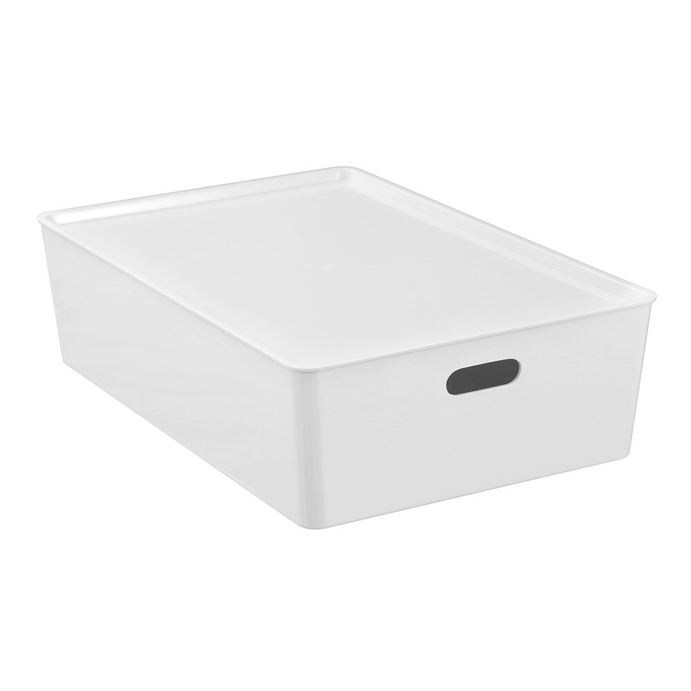 42219-boxsweden-smooth-tidy-box-w-lid-24l-54cm-assorted