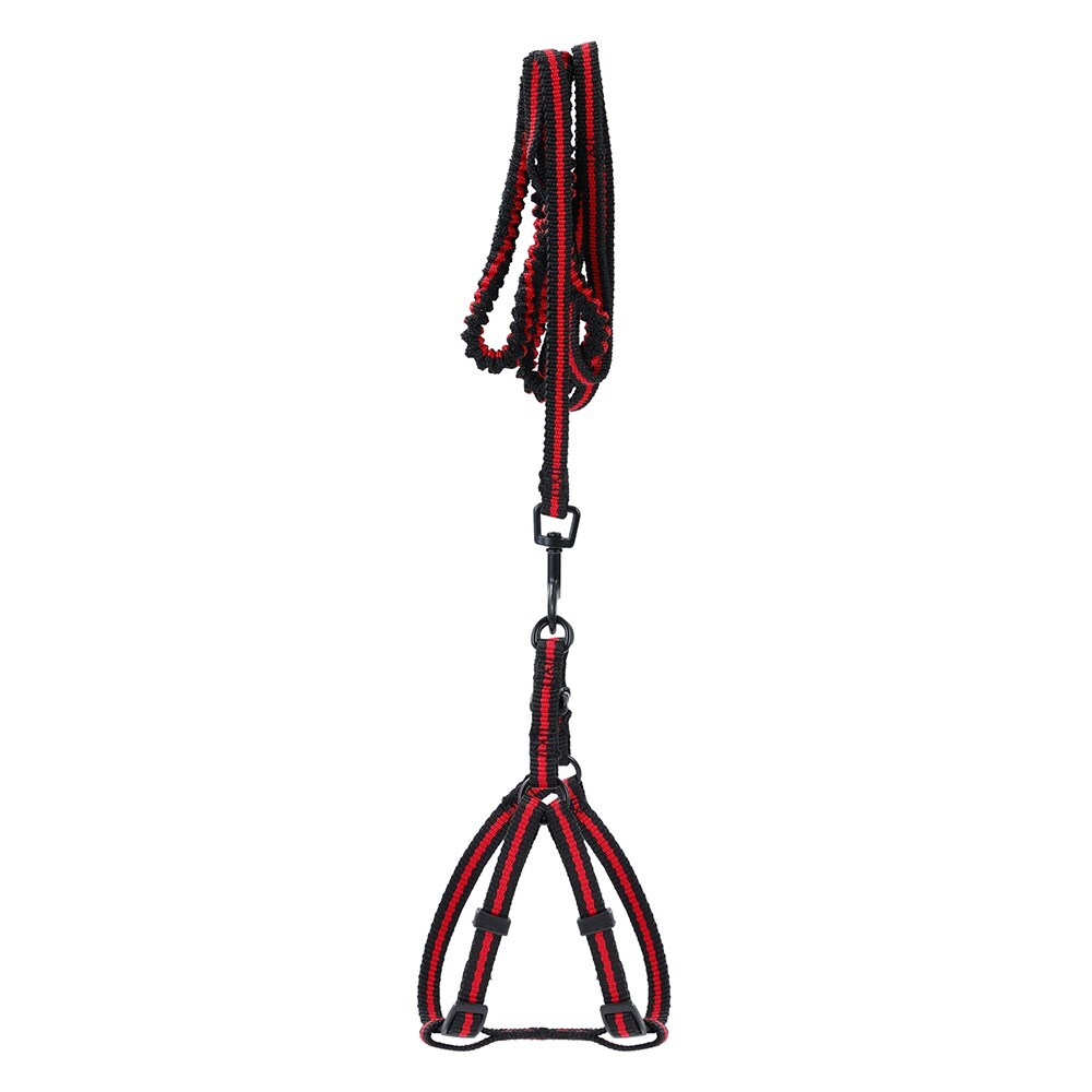 4pc Pawsnclaws Stretchy Dog/Pet Lead & Harness Assorted