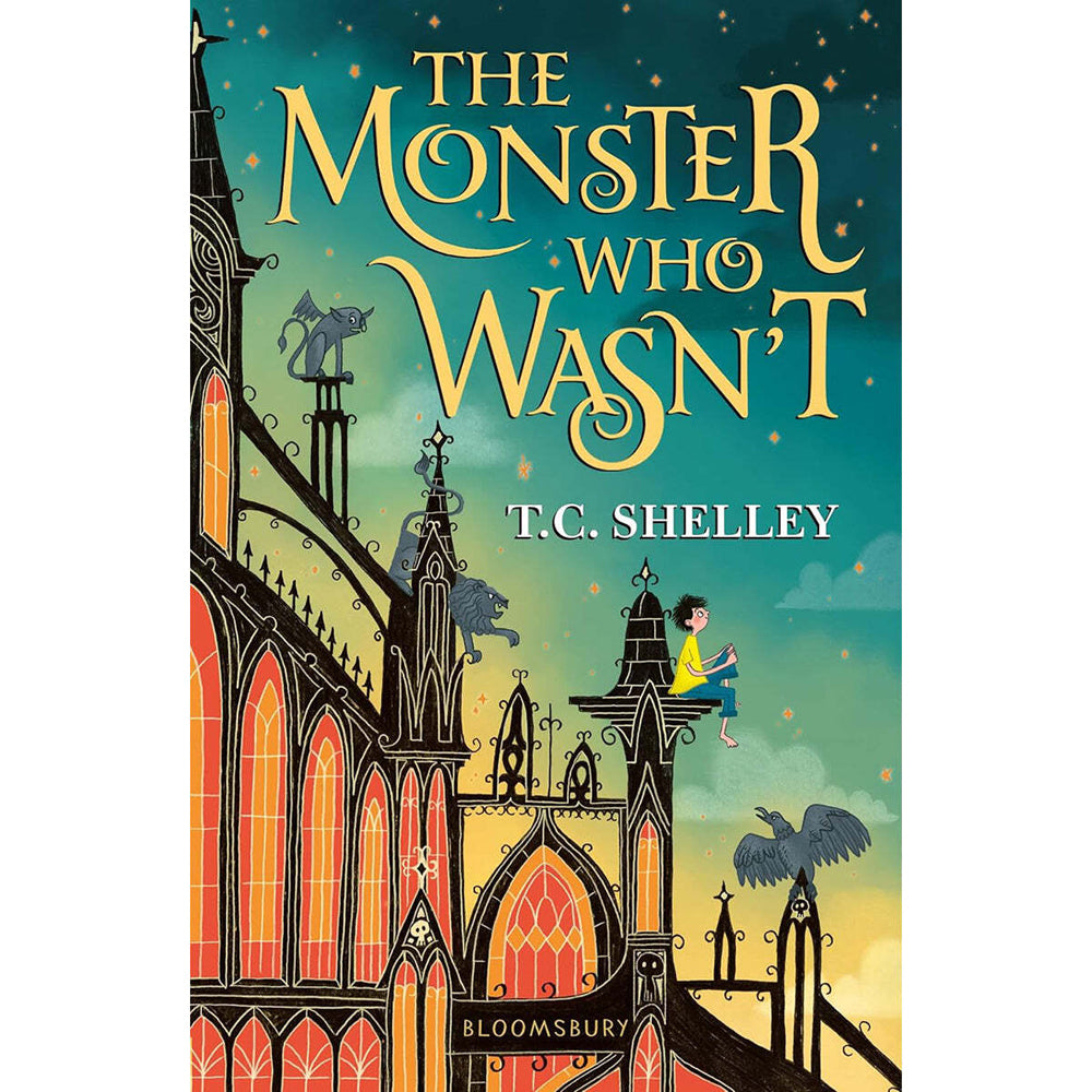 Promotional The Monster Who Wasn't Mystery Teen Paperback Book 8y+