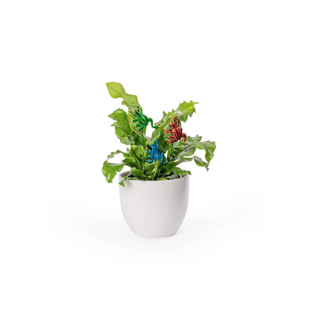 26606-frog-clip-home-garden-patio-display-decor-assorted