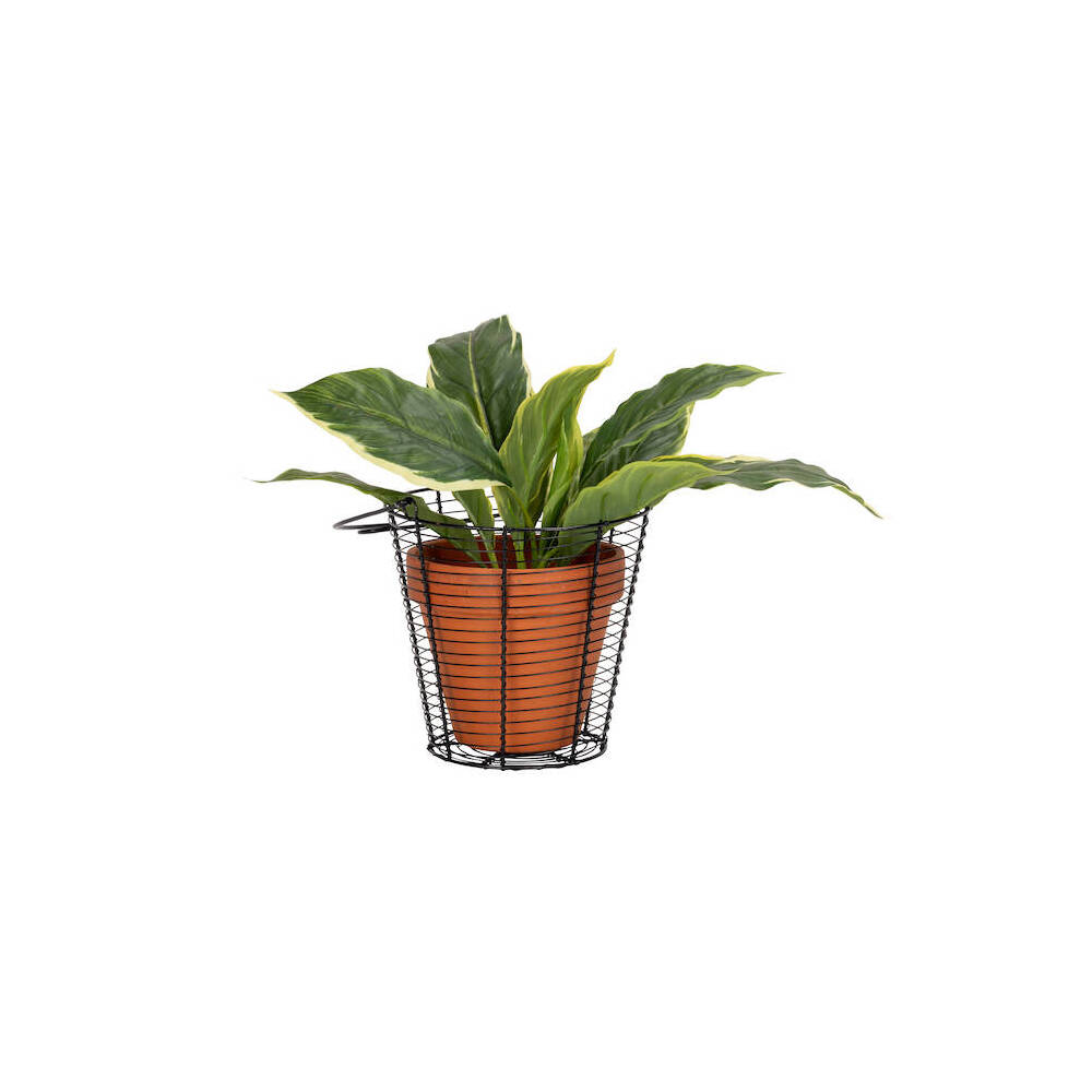 28310-3pc-wire-durable-pot-plant-cover-horiz-home-decor-black
