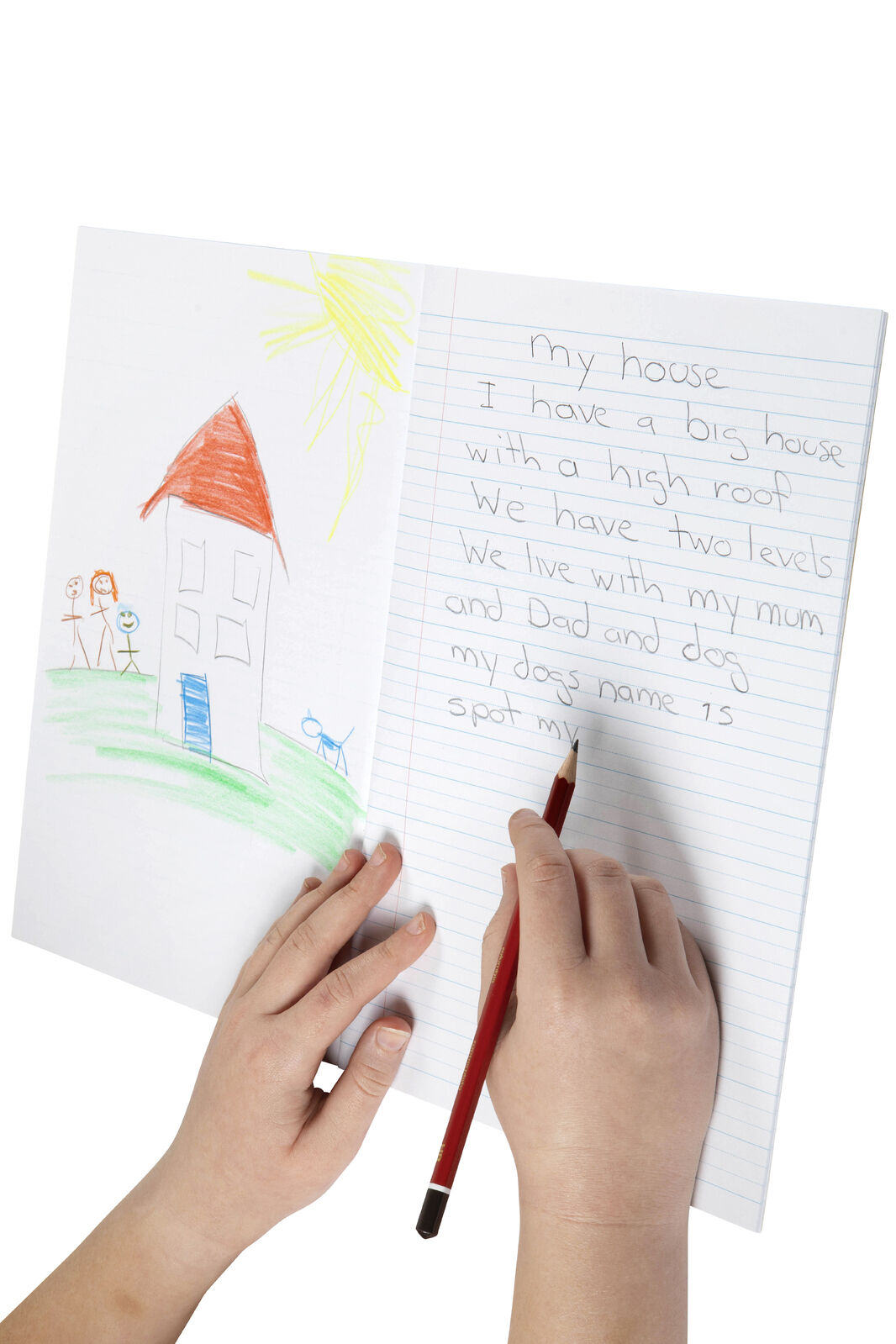 56142-1-spirax-142-project-book-a4-48-pages-18mm-dotted-thirds-yellow