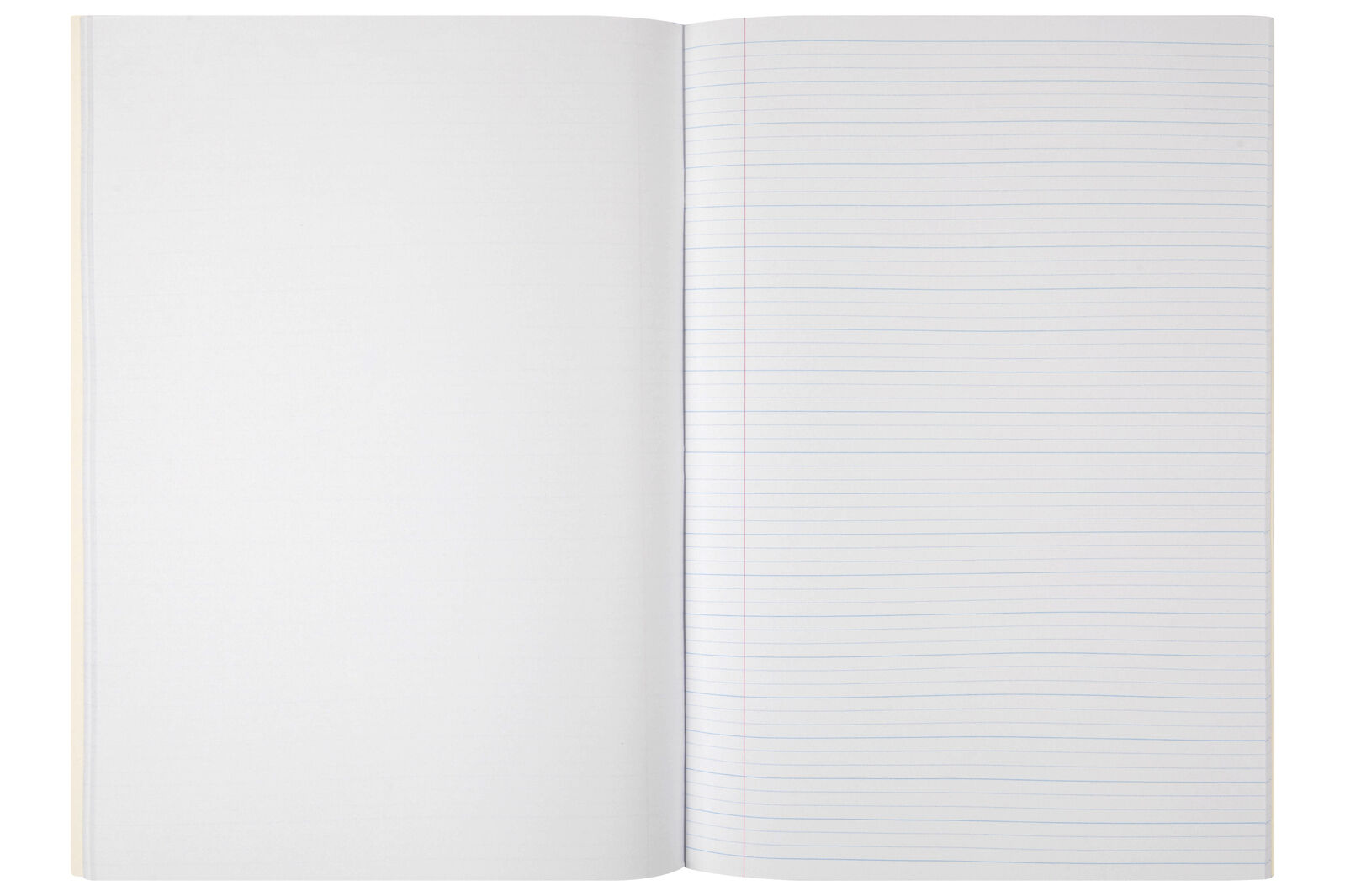 56146p-1-spirax-146-project-book-a4-14mm-dotted-thirds-96-pages-yellow