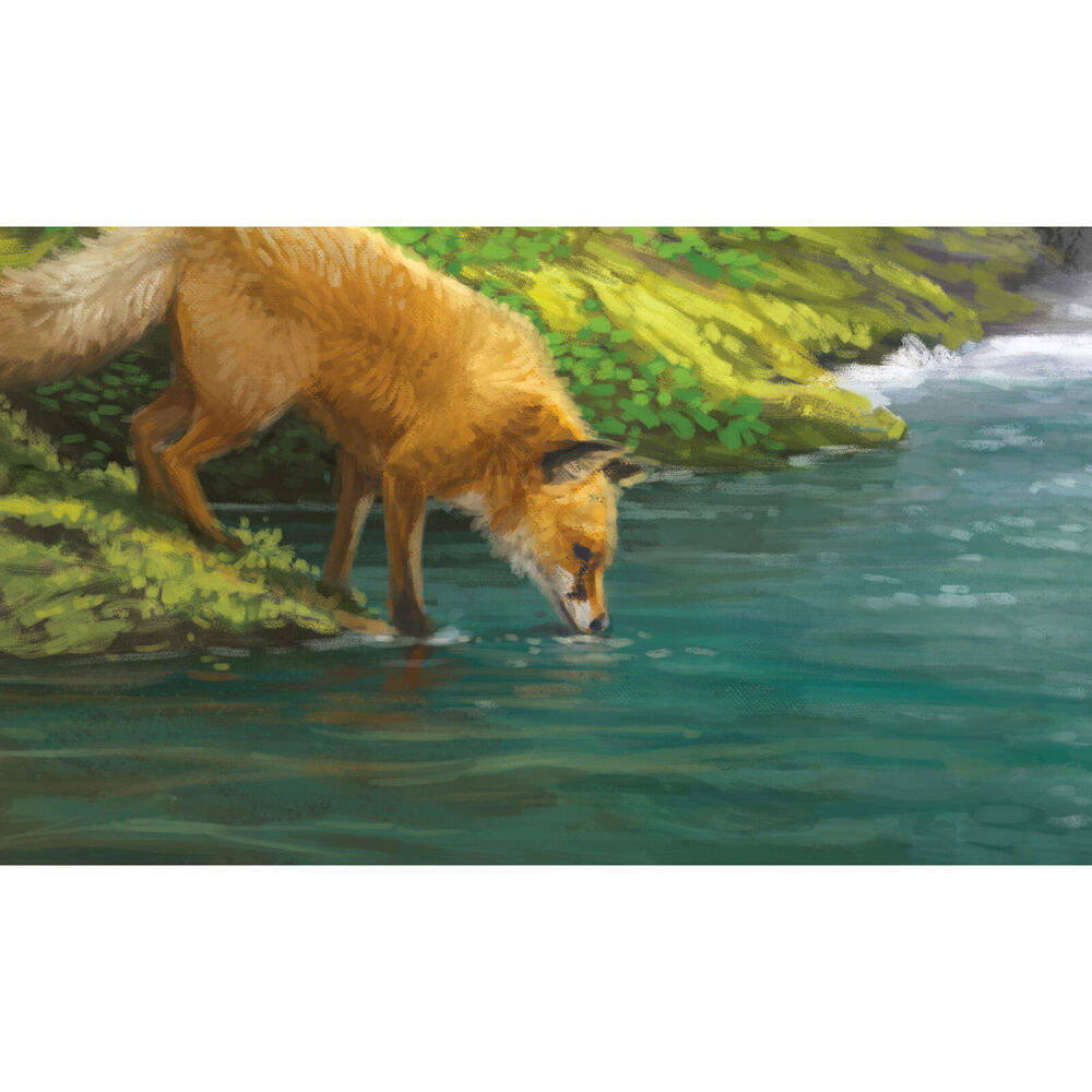 112717-aeg-cascadia-landmarks-strategy-game-expansion-pack-10y