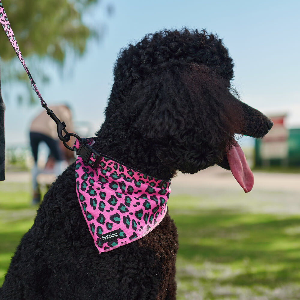 14cbb-annabel-trends-hot-dog-cooling-dog-bandana-accessory-bone-burger