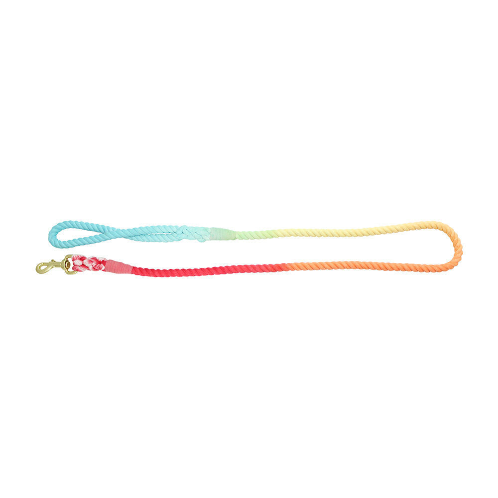 12rlr-annabel-trends-hot-dog-durable-cotton-rope-lead-1-3m-rainbow