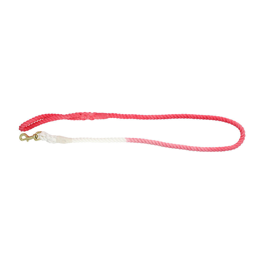 12rlp-annabel-trends-hot-dog-durable-cotton-rope-lead-1-3m-peach-powder