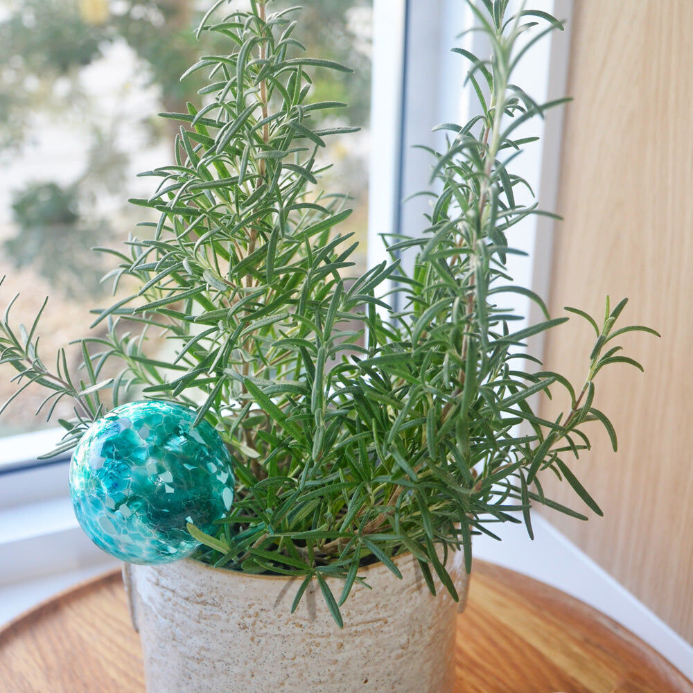 521wg-3pc-annabel-trends-plant-water-globe-set-21-5cm-green