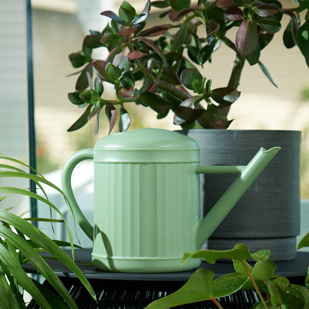 521wcs-annabel-trends-2l-watering-can-home-garden-planting-tool-sage