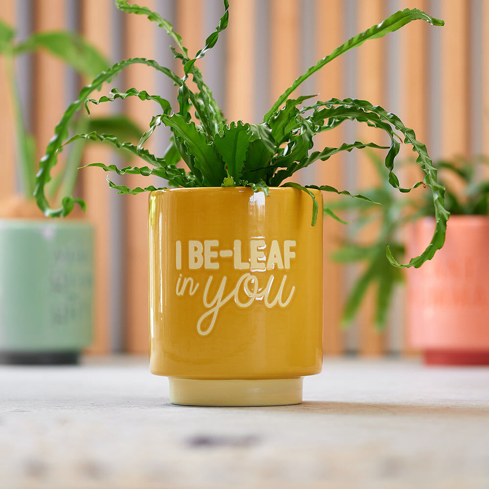 52pm-annabel-trends-ceramic-planter-flower-pot-decor-17cm-plant-mumma