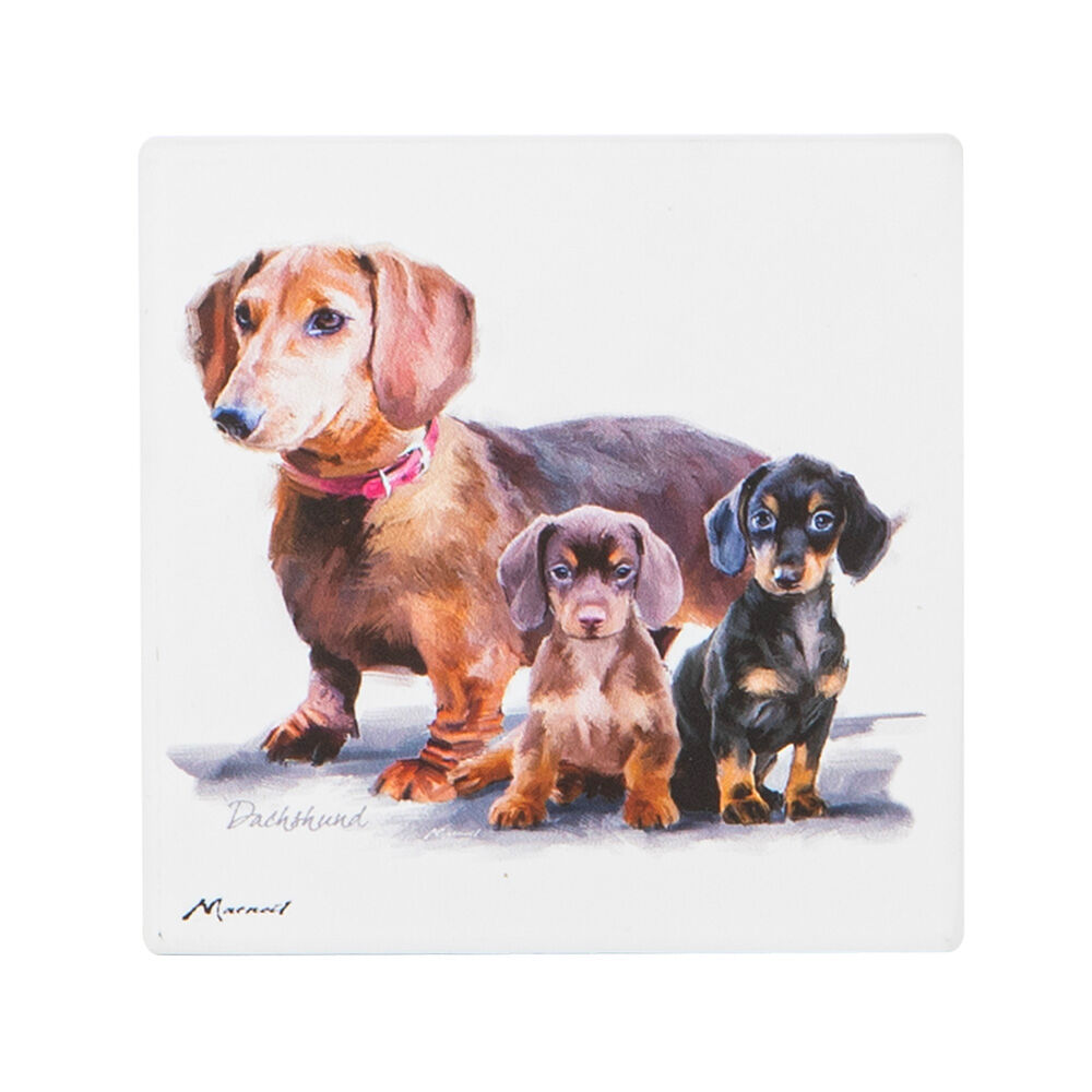 522397-ashdene-puppy-love-ceramic-coaster-square-10x10cm-assorted