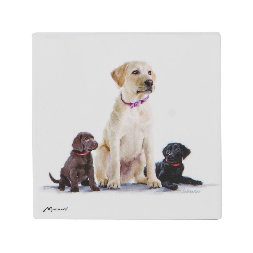 522397-ashdene-puppy-love-ceramic-coaster-square-10x10cm-assorted