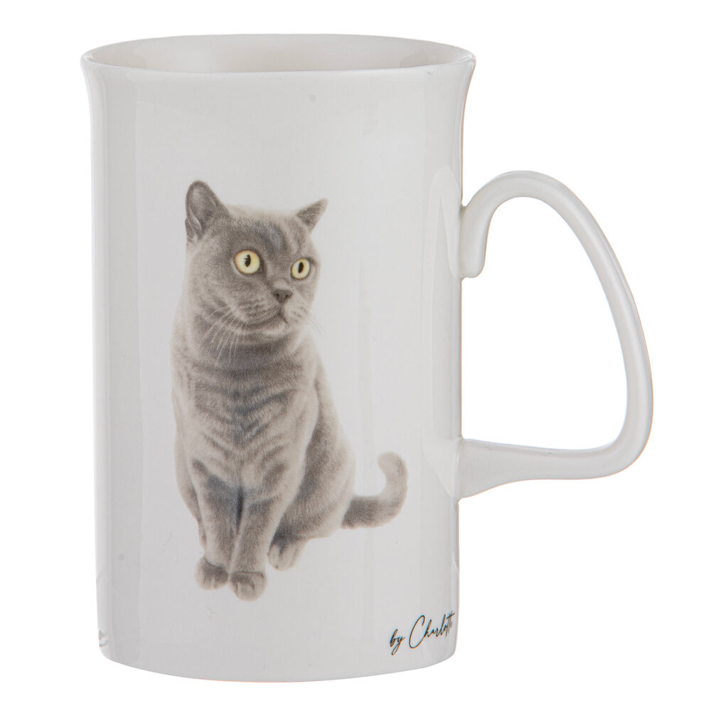522289-ashdene-purrrfect-moments-350ml-mug-new-bone-china-assorted