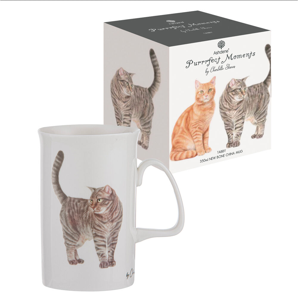 522293-ashdene-purrrfect-moments-tabby-can-350ml-mug-new-bone-china-white